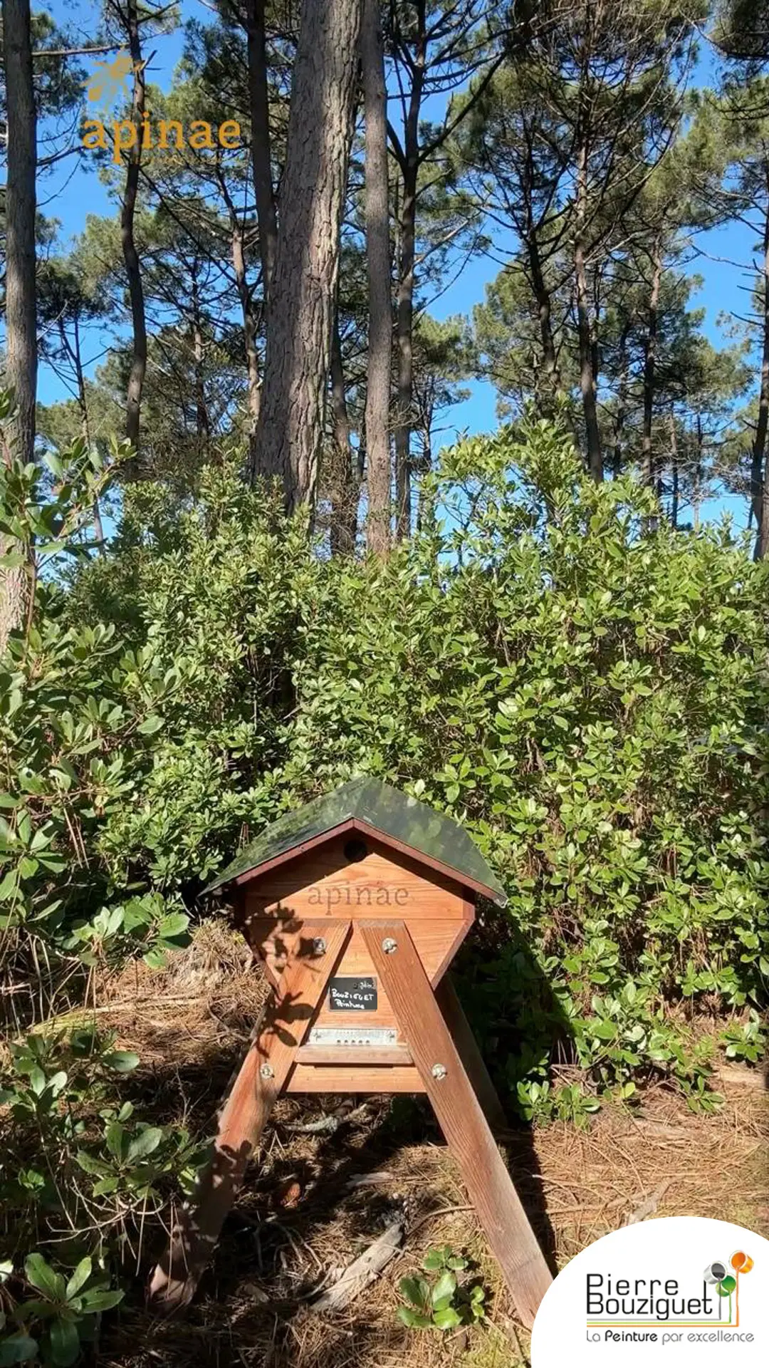 Ruche La Peinture Par Excellence dans le rucher Apinae à Lège-Cap-Ferret